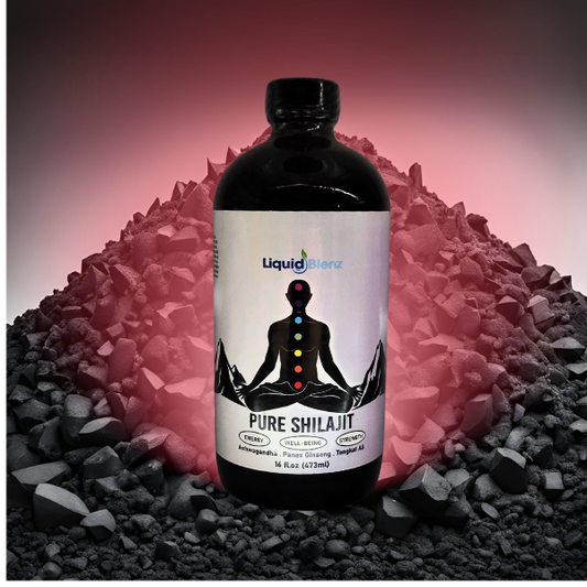 Understanding Ayurveda: Shilajit and Its Vitality-Boosting Properties