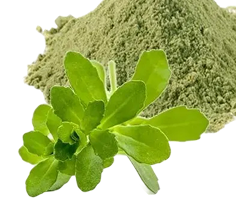 How to Support Gut Health and Reduce Bloating Naturally with Herbal Bitters