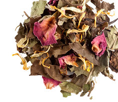 Best Natural Alternatives to Energy Drinks Without Caffeine Crashes (Backed by Herbal Science)
