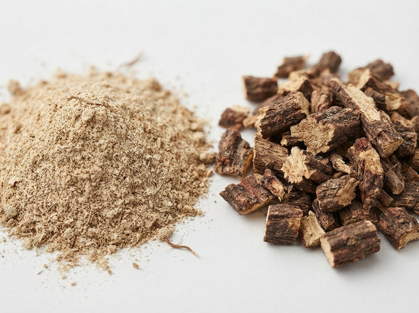 Echinacea Root