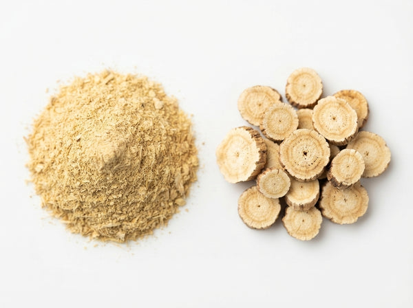 Astragalus Root