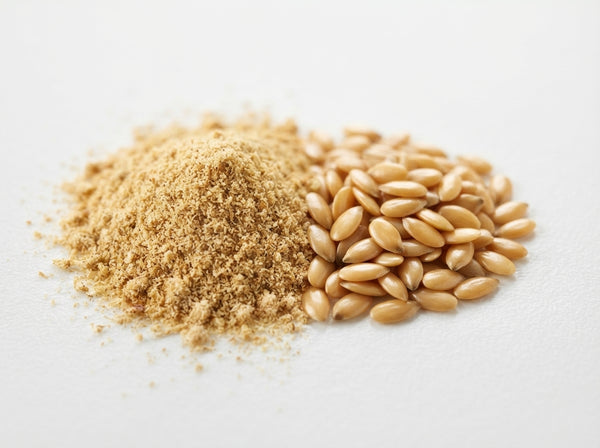 Flax Seed