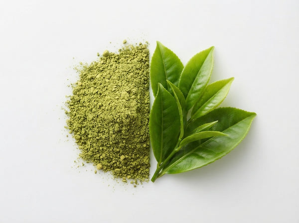 Green Tea