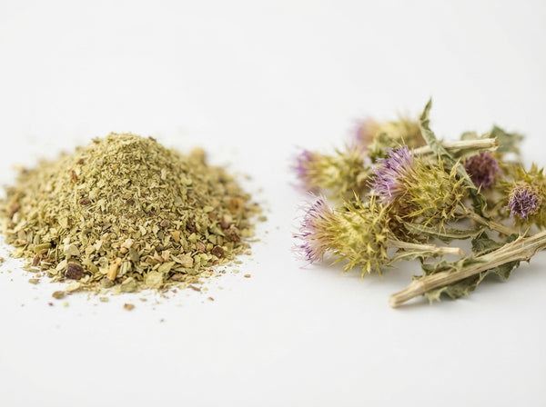 Blessed Thistle