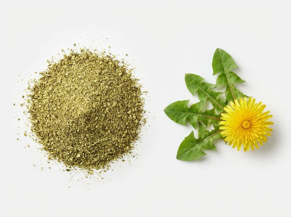Dandelion