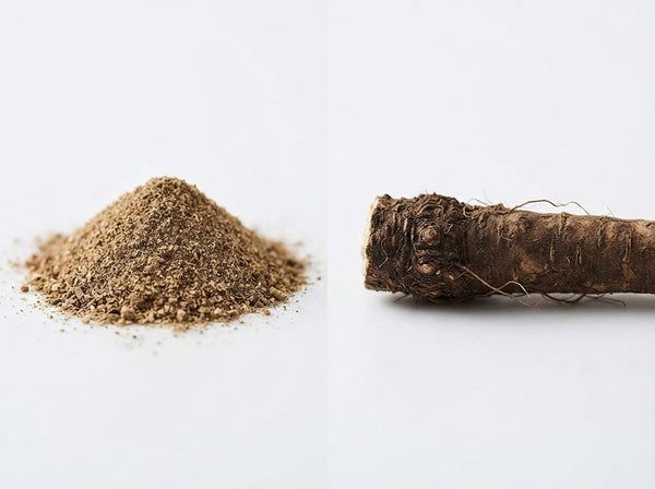 Burdock Root