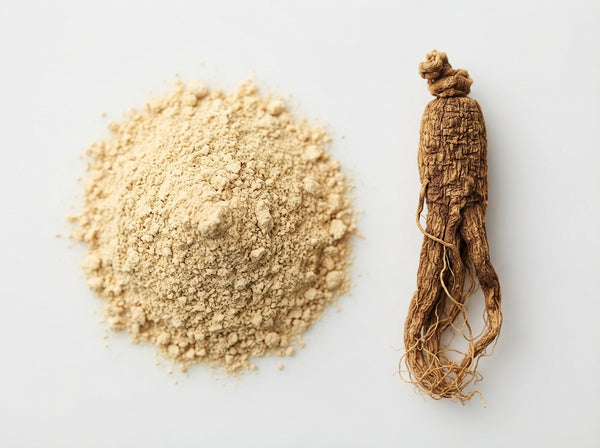 Panax Ginseng