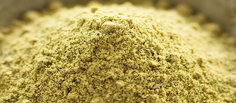 Lemon Balm