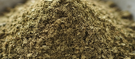 Gotu Kola