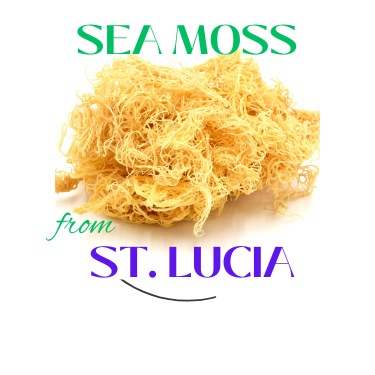 Pure Sea Moss Tonic