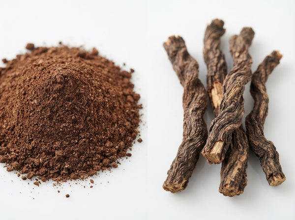 Sarsaparilla Root