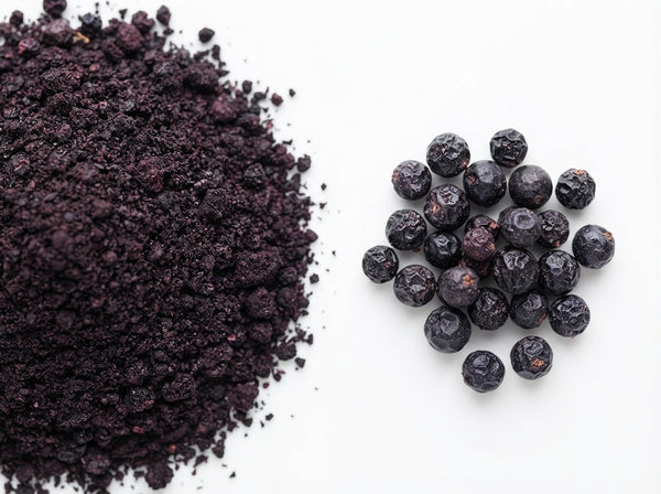 Black Elderberries
