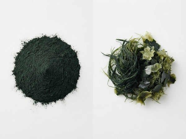 Spirulina