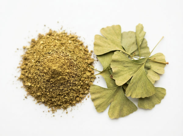Ginkgo Biloba
