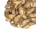 Burdock Root