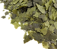 Spirulina