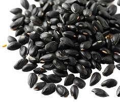 Black Seed