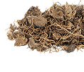 Black Cohosh Root