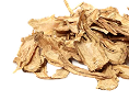 Dong Quai Root