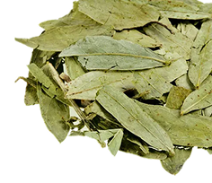 Senna Leaf