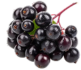 Black Elderberries