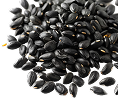 Black Seed