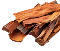 Bitter Wood