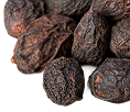 Saw Palmetto
