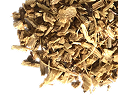 Echinacea Root