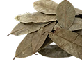Soursop Leaf
