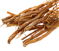Ginseng