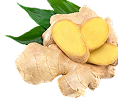 Ginger Root
