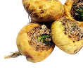 Maca Root